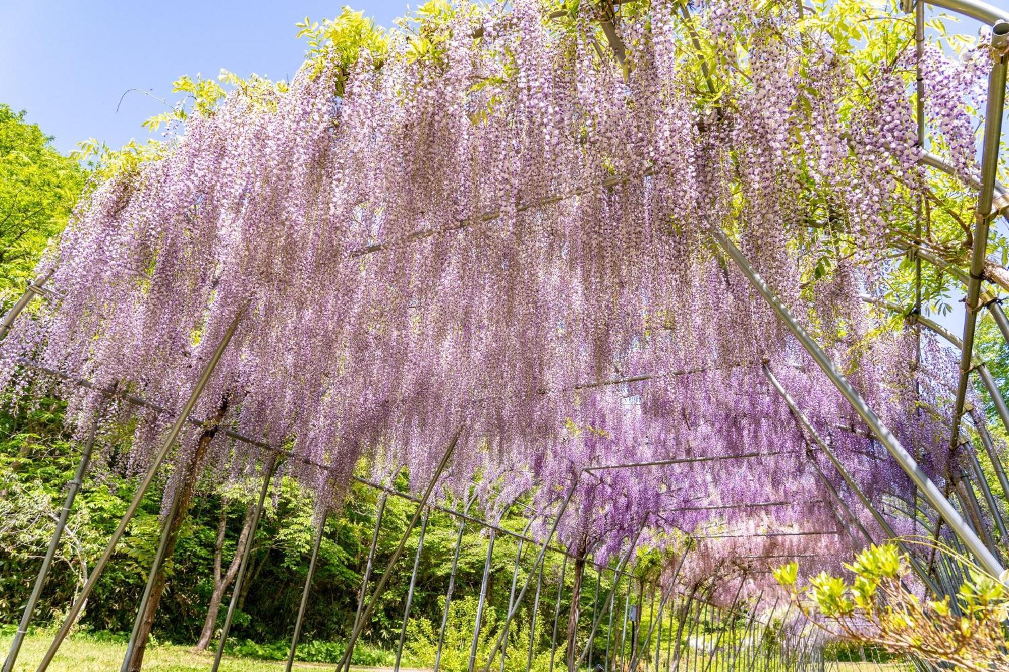 Kamenoi Hotel Ichinoseki Luaran gambar